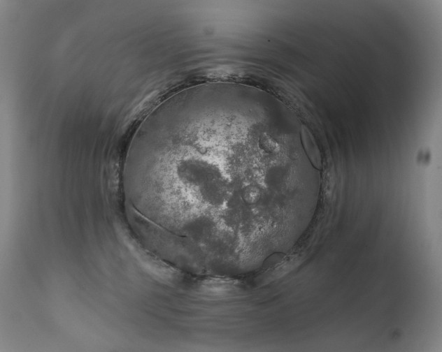 X0000112020375200908031403