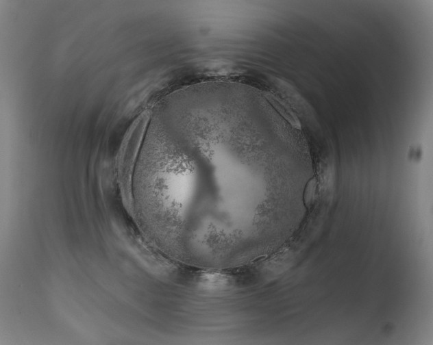 X0000112020376200908031403