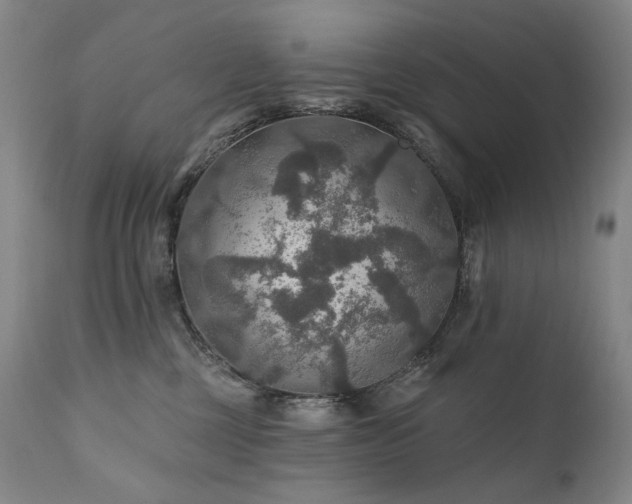 X0000112020377200908031403