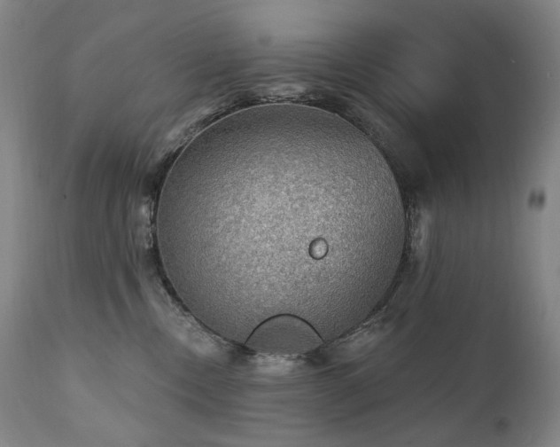 X0000112020378200908031403