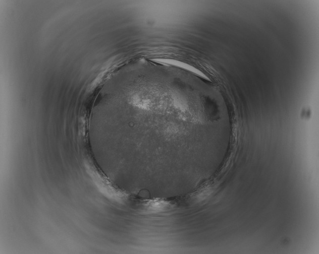 X0000112020379200908031403