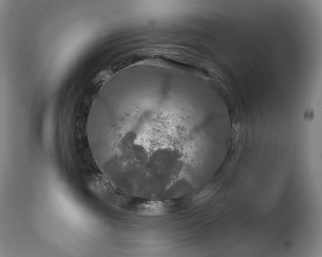 X0000112020381200908031403