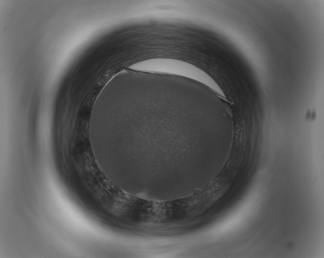 X0000112020383200908031403