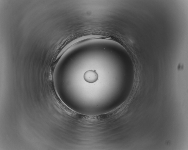 X0000112020384200908031403