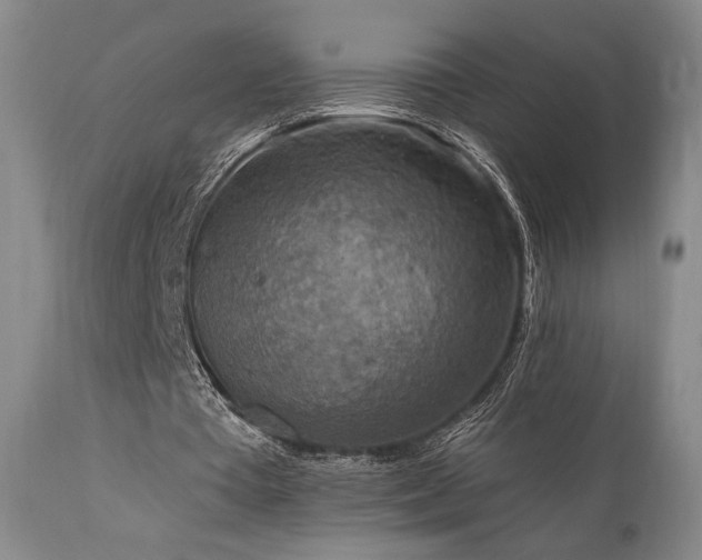 X0000112020385200908031402