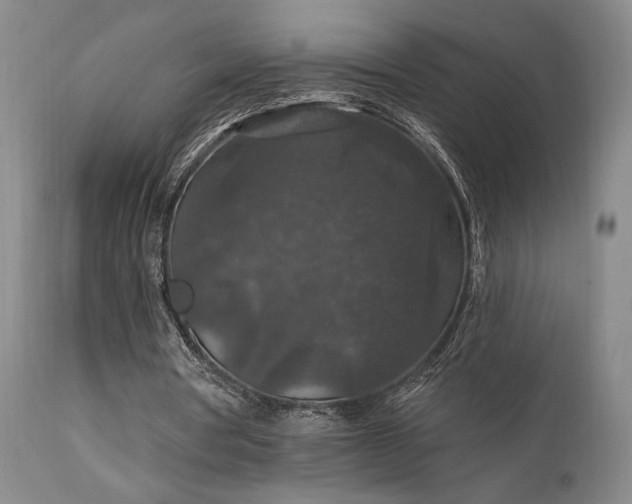 X0000112020386200908031402