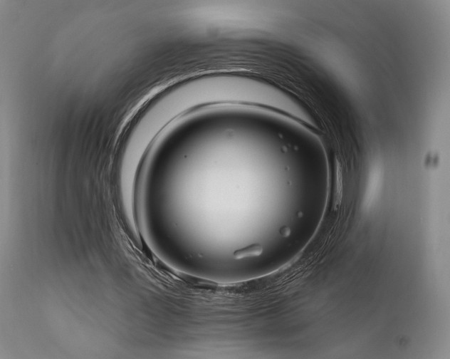 X0000112020387200908031402