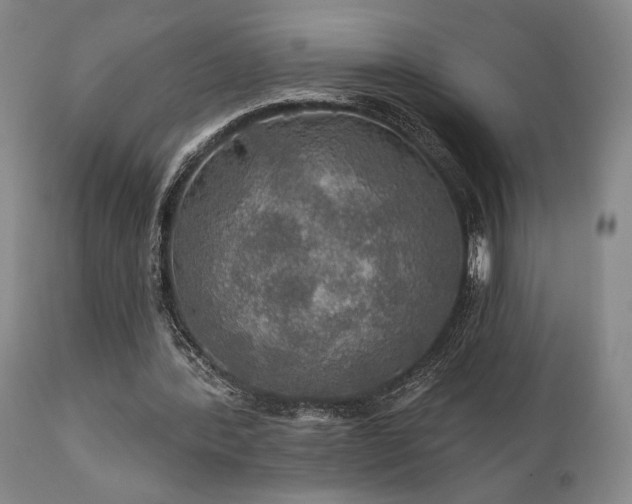 X0000112020388200908031402