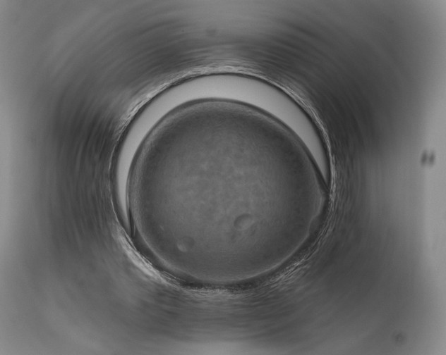 X0000112020389200908031402