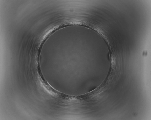 X0000112020390200908031402