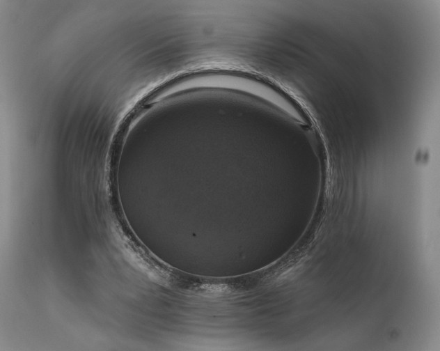 X0000112020391200908031402