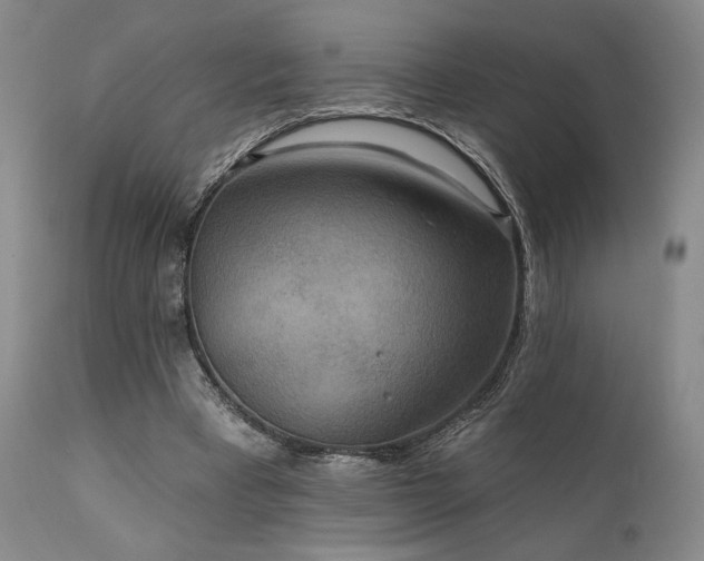 X0000112020393200908031402