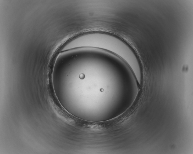 X0000112020395200908031402