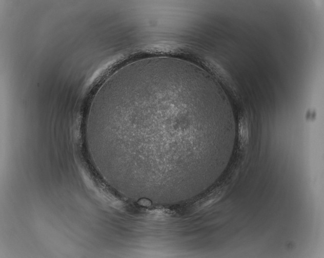 X0000112020396200908031402