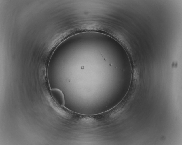 X0000112020397200908031402