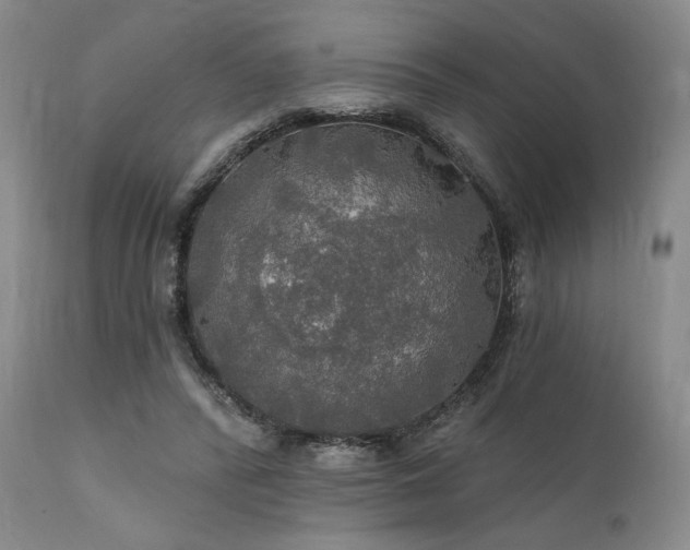 X0000112020400200908031402