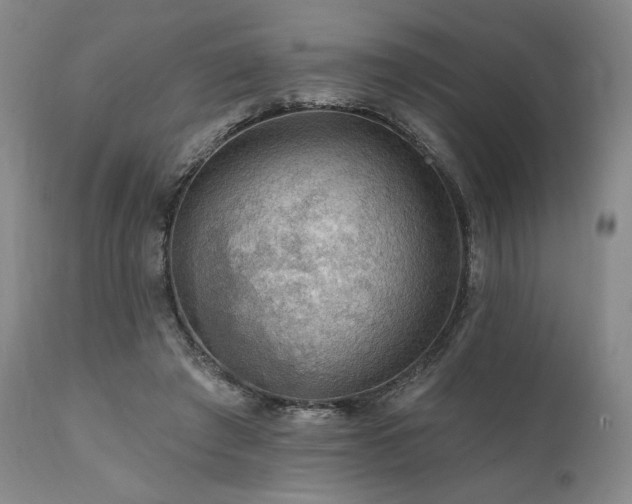 X0000112020401200908031402