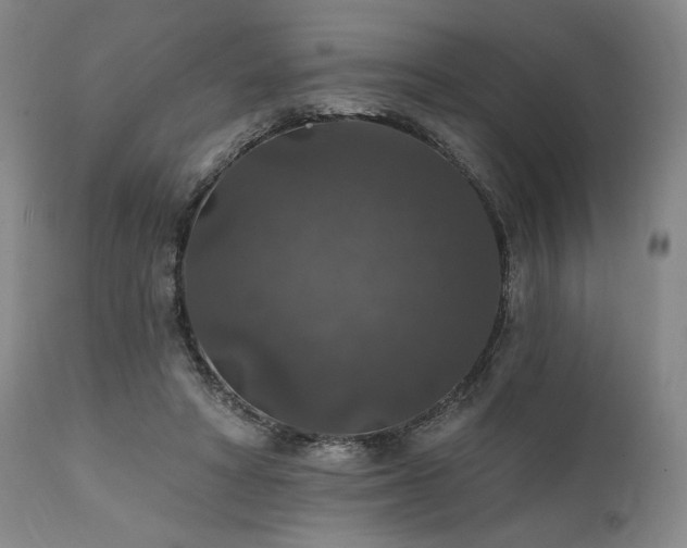 X0000112020402200908031402