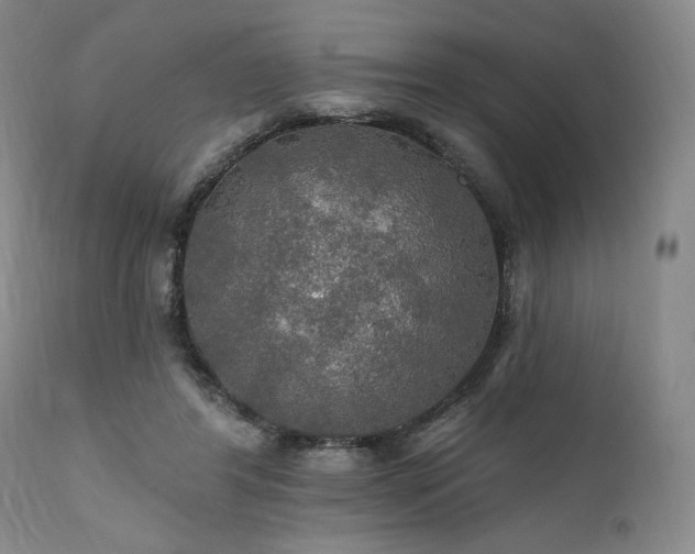 X0000112020404200908031402