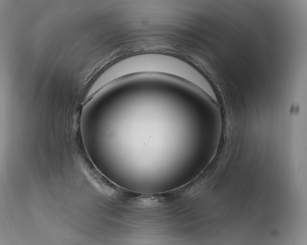 X0000112020405200908031402