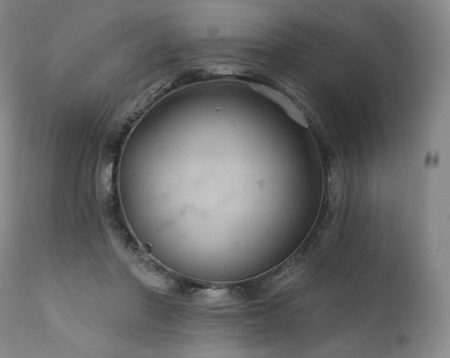 X0000112020406200908031402