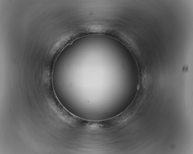 X0000112020407200908031402