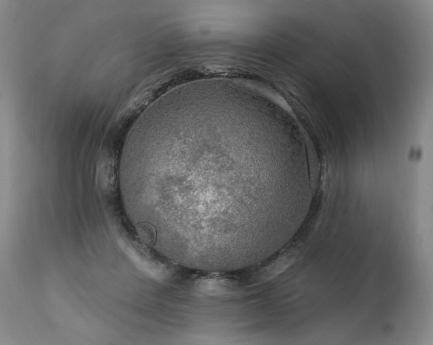 X0000112020408200908031402