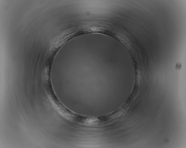 X0000112020410200908031402