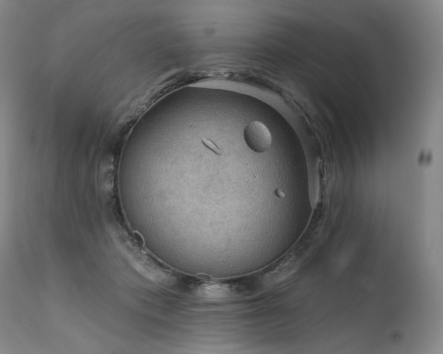 X0000112020413200908031402