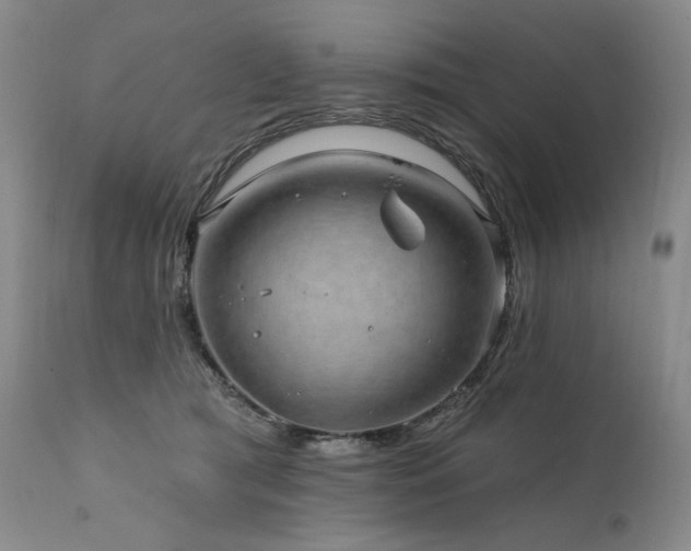 X0000112020417200908031402