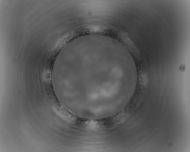 X0000112020419200908031402