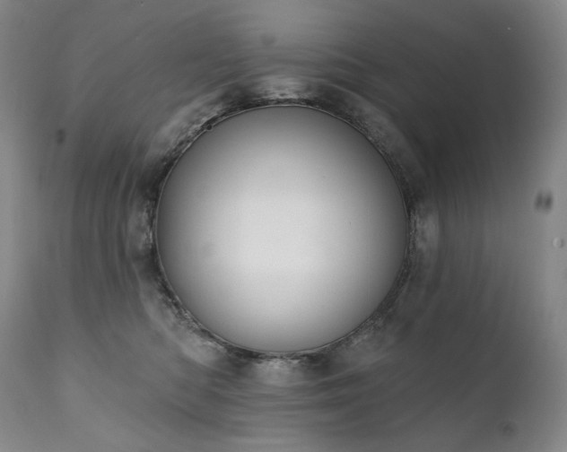 X0000112020422200908031402