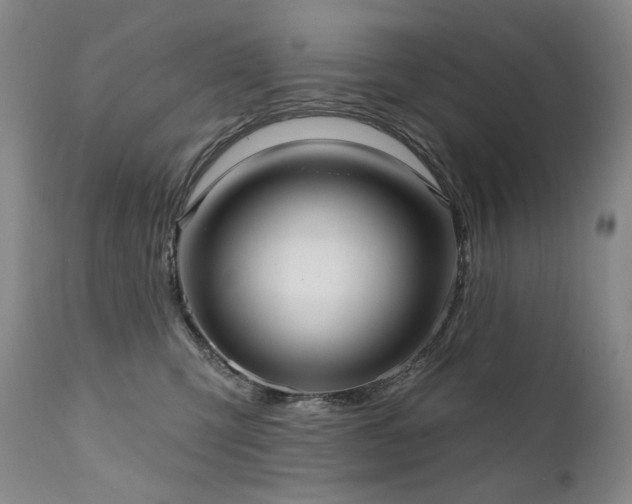 X0000112020423200908031402