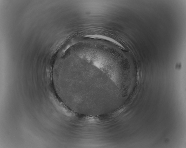 X0000112020424200908031402