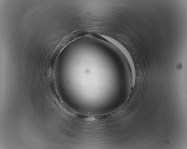 X0000112020425200908031402