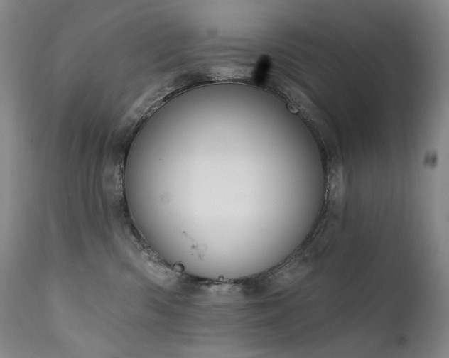 X0000112020426200908031402