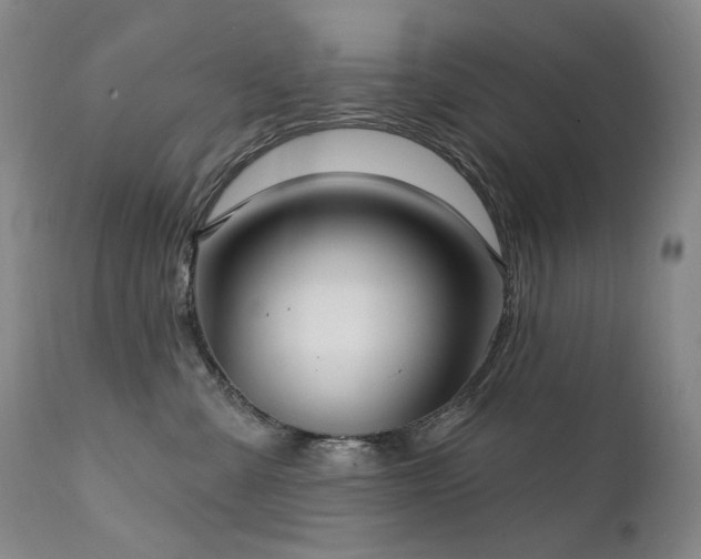 X0000112020427200908031402