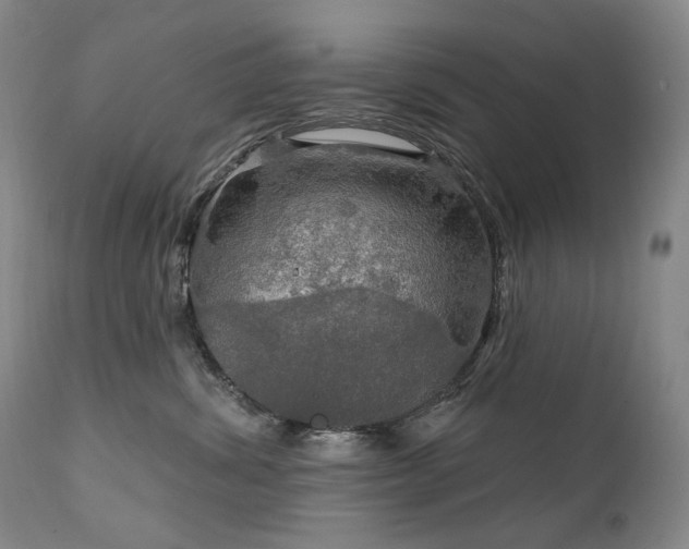 X0000112020428200908031402