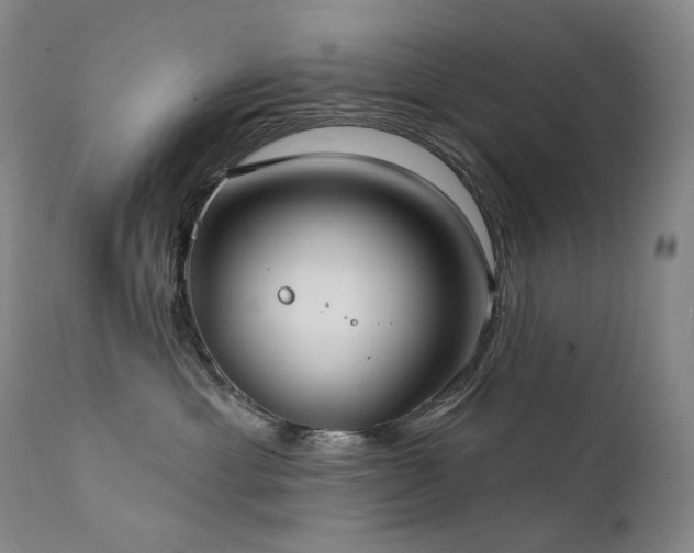 X0000112020429200908031402