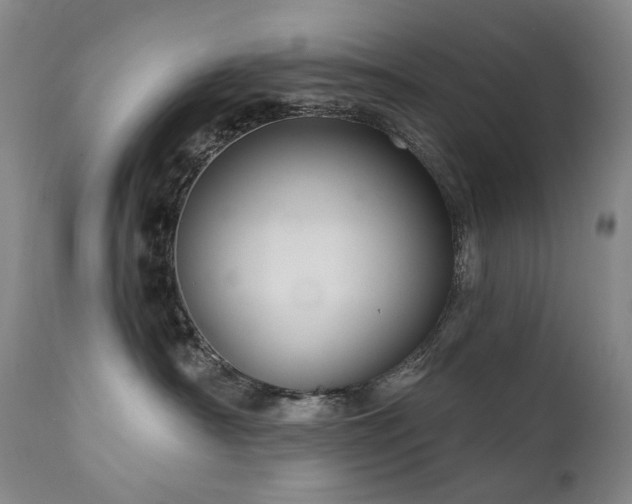 X0000112020430200908031402