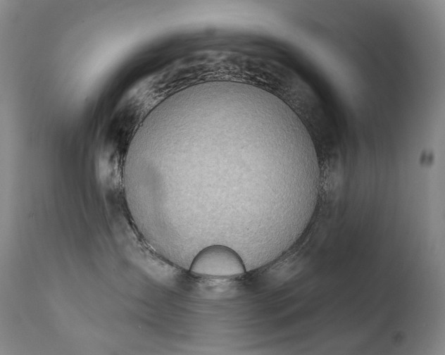 X0000112020431200908031402