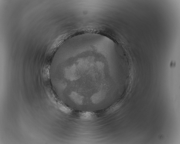 X0000112020432200908031402