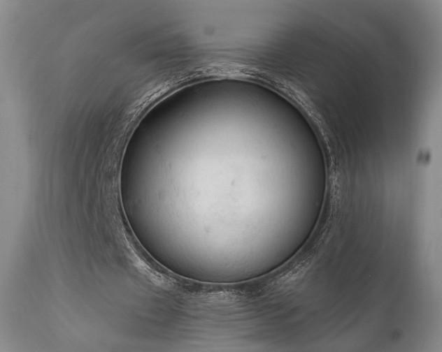 X0000112020433200908031401