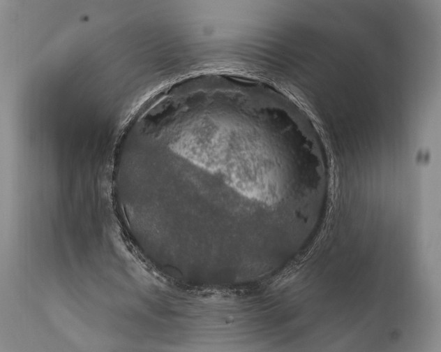 X0000112020434200908031401