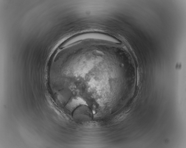 X0000112020435200908031401