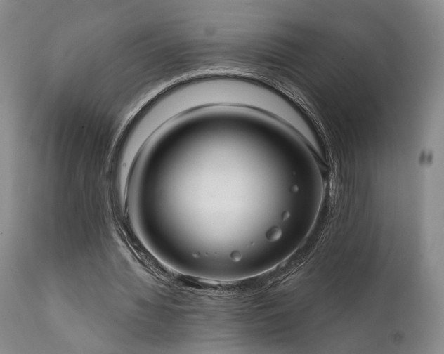 X0000112020436200908031401