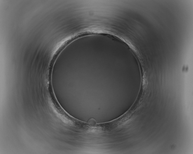 X0000112020438200908031401