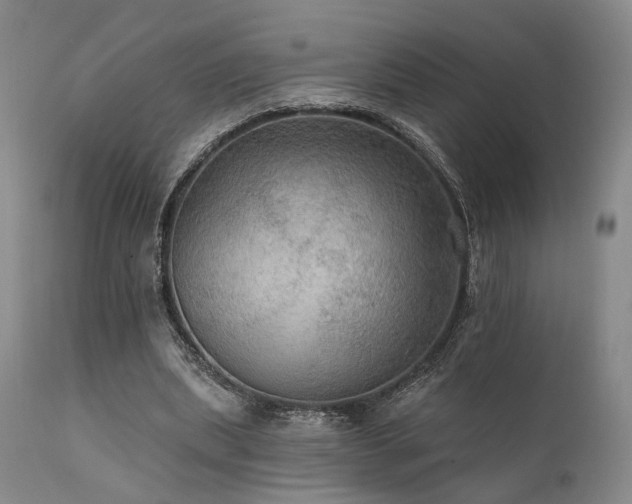 X0000112020439200908031401