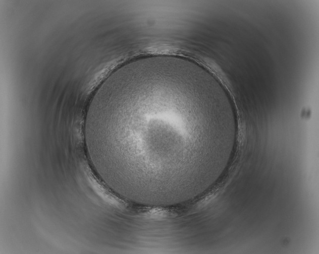 X0000112020441200908031401