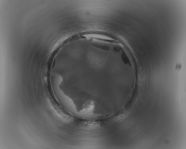 X0000112020443200908031401